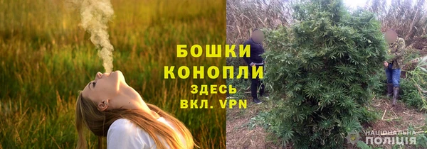 мдпв Аша