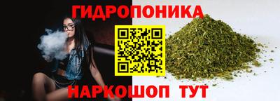 прущие грибы Иваново